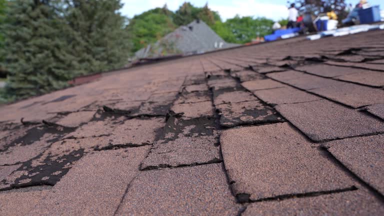 Best Slate Roofing  in Enigma, GA