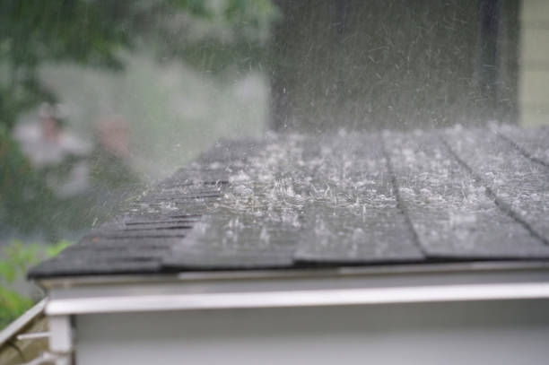 Best Roof Coating Services  in Enigma, GA